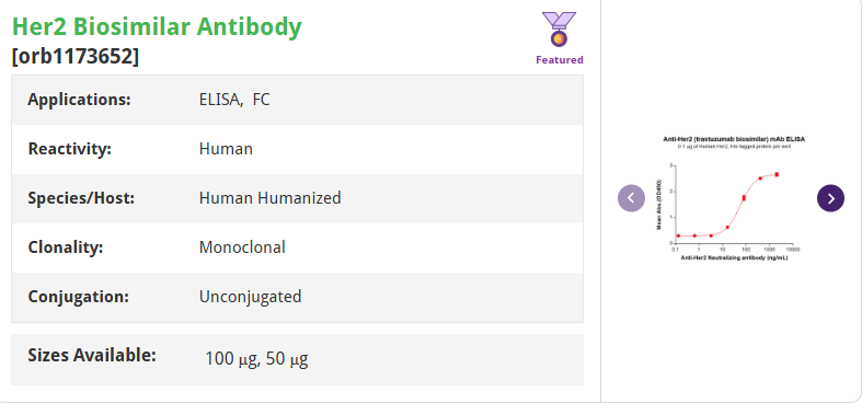 Anti-HER2 Monoclonal Antibody for Breast Cancer Research