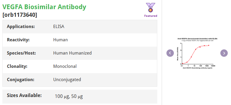 Anti-VEGF Monoclonal Antibody for Angiogenesis Research