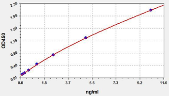 Human WNT5A (Protein Wnt-5a) Quick ELISA Kit