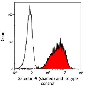 Galectin-9/Gal-9 Antibody