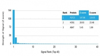 FGF-23 Antibody / Fibroblast Growth Factor 23
