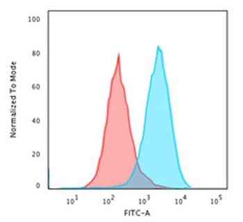 CD20 Antibody