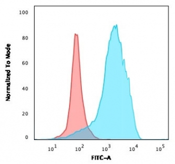 CD63 Antibody / LAMP-3