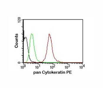 Pan Cytokeratin Cocktail (Acidic + Basic) antibody (PE)