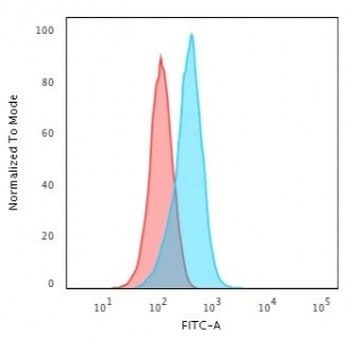 IGF-1 Antibody / Insulin like Growth Factor 1