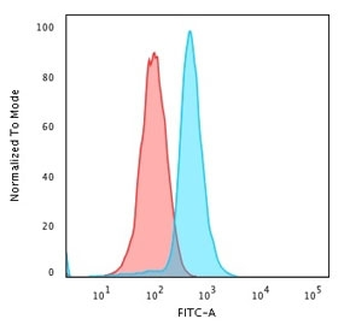 BCL10 Antibody