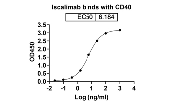 Iscalimab (CD40/TNFRSF5) - Research Grade Biosimilar Antibody