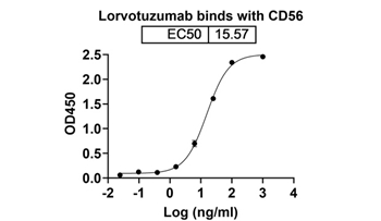 Lorvotuzumab Mertansine (NCAM1/CD56) - Research Grade Biosimilar Antibody