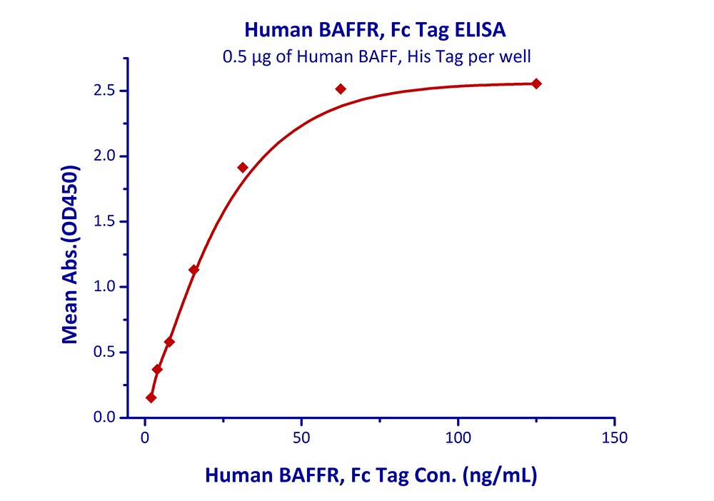 BAFFR Recombinant Protein