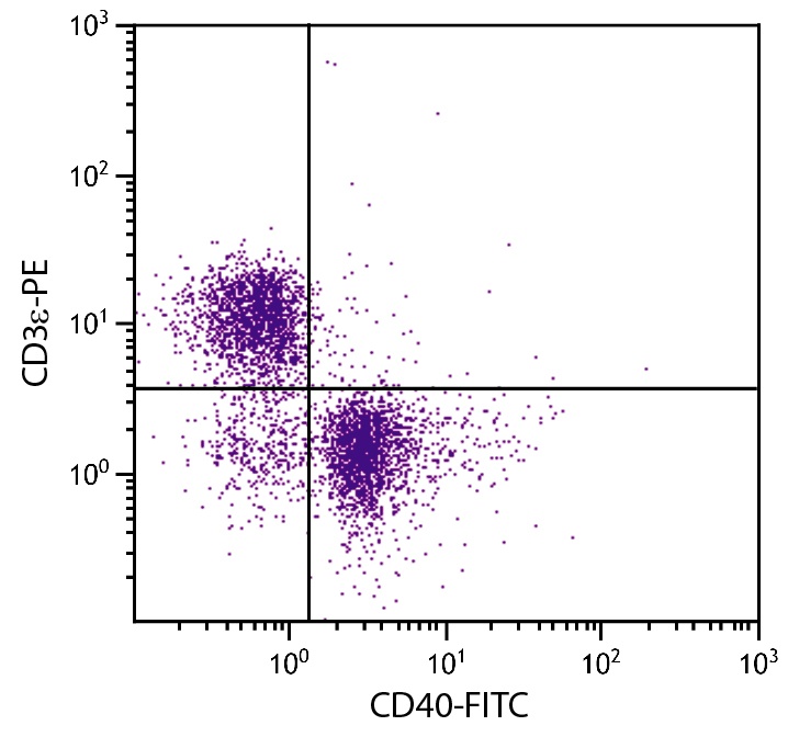 Cd40 Antibody (FITC)