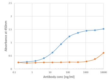 Phl p 1 Antibody [Clone 25], Human IgE