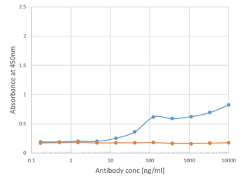 Bet v 1 Antibody [M0418], Rabbit IgG