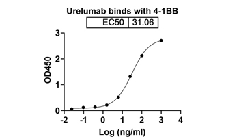 Urelumab (TNFRSF9/CD137 ) - Research Grade Biosimilar Antibody