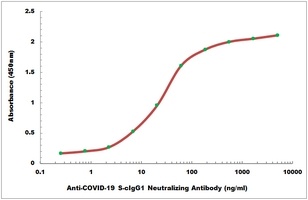 COVID-19 S-cIgG1 Neutralizing antibody