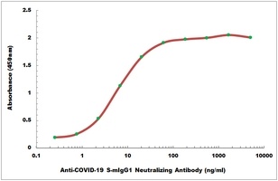 COVID-19 S-mIgG1 Neutralizing antibody