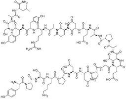 Neuropeptide Y (1-24) amide
