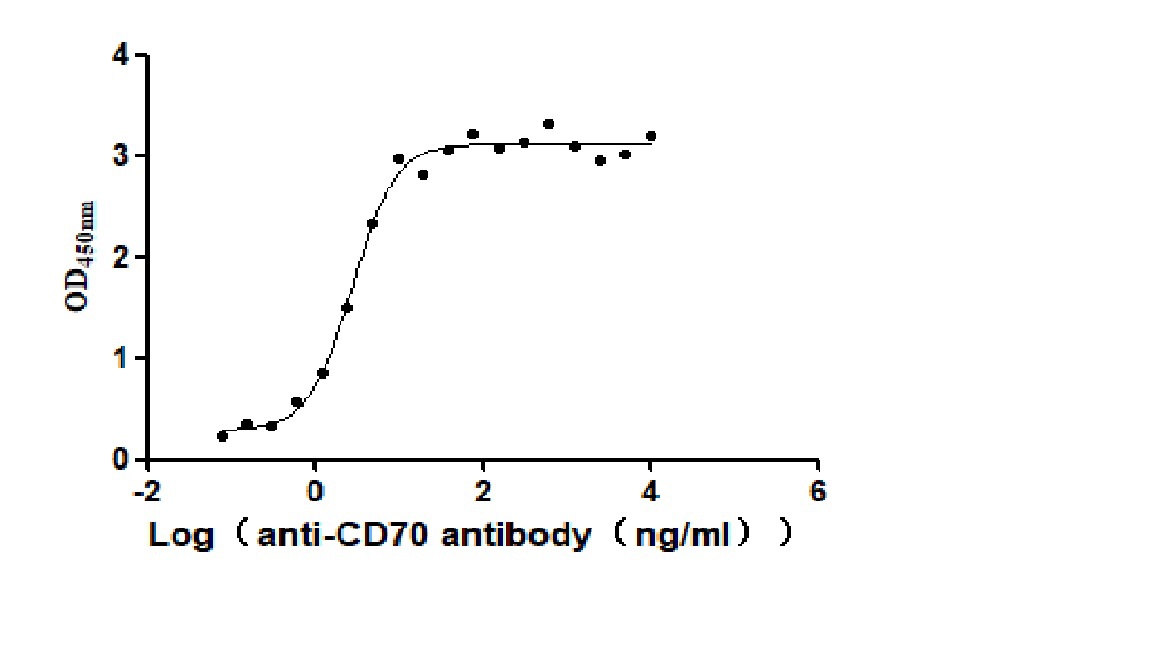 Recombinant Human CD70 antigen(CD70), partial (Active)