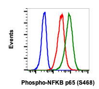 Phospho-NFKB p65 (Ser468) (B9) rabbit mAb Antibody