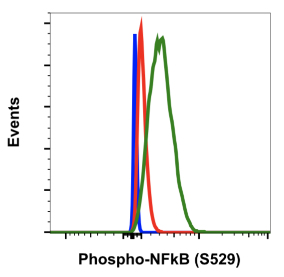 Phospho-NFkB p65 (Ser529) (H3) rabbit mAb Antibody