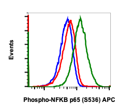 Phospho-NFKB p65 (Ser536) (B7) rabbit mAb APC Conjugate Antibody