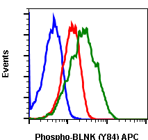 Phospho-BLNK (Tyr84) (H4) rabbit mAb APC conjugate Antibody