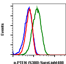 Phospho-PTEN (Ser380) (NA9) rabbit mAb SureLight488 conjugate Antibody
