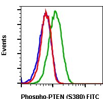 Phospho-PTEN (Ser380) (NA9) rabbit mAb FITC conjugate Antibody