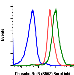Phospho-RelB (Ser552) rabbit mAb SureLight488 conjugate Antibody