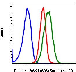 Phospho-Ask1 (Ser83) rabbit mAb SureLight 488 conjugate Antibody