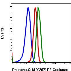 Phospho-CrkL (Tyr207) rabbit mAb PE conjugate Antibody
