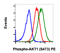 Phospho-Akt1 (Ser473) (C7) rabbit mAb PE conjugate Antibody