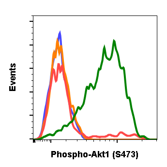 Phospho-Akt1 (Ser473) (C7) rabbit mAb Antibody