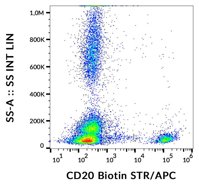 CD20 antibody (Biotin)