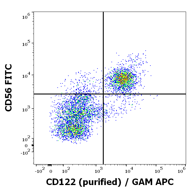 CD122 antibody