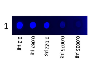 Mouse IgG3 isotype control Fluorescein Antibody