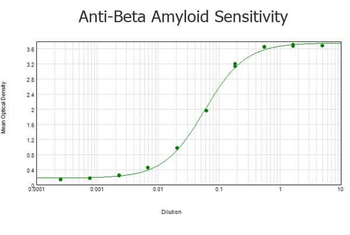 Beta Amyloid antibody
