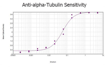 Alpha-Tubulin antibody