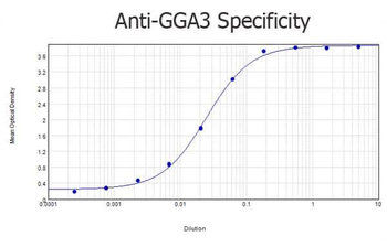 GGA3 antibody