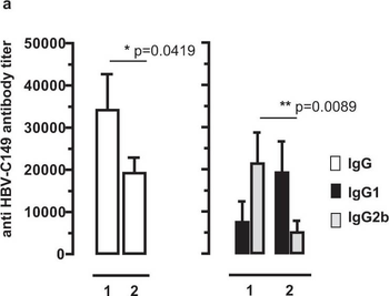 Mouse IgG2b (Gamma 2b chain) antibody (Peroxidase)