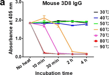 Mouse IgG F(c) antibody (Alkaline Phosphatase)
