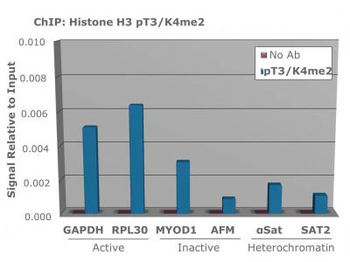 Histone H3 K4me2/pT3 antibody