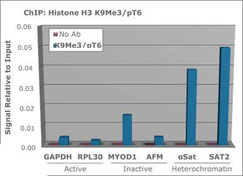 Histone H3 K9me3/pT6 antibody
