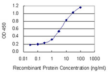 SIX2 monoclonal antibody (M01), clone 3D7