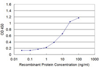 NCOA4 monoclonal antibody (M05), clone 1F11