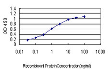 YY1 monoclonal antibody (M02), clone 4A5