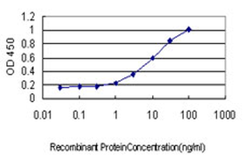 QARS monoclonal antibody (M01), clone 5F5