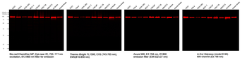 Multi-rAb CoraLite Plus 750-Goat Anti-Rabbit Recombinant Secondary Antibody (H+L)