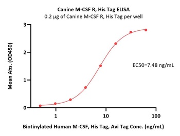 Canine M-CSF R / CSF1R / CD115 Protein