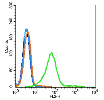 TNFR1 antibody