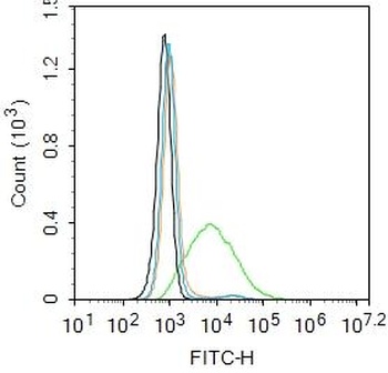 MAS1 antibody